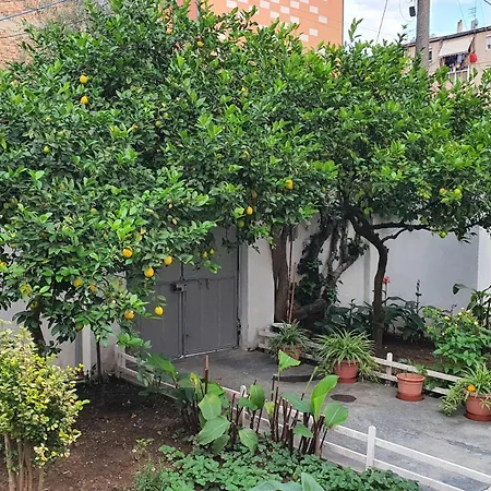 Orange House * טיראנה